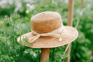 Straw hat resting on wooden post surrounded by lush green plants, showcasing a serene outdoor garden setting with natural textures and vibrant colors photo
