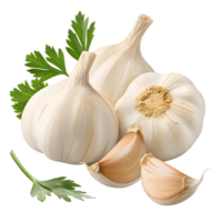 Fresh garlic bulbs with vibrant green parsley present a culinary ingredient on a transparent background. png