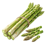 Fresh green asparagus spears are bundled together, displayed against a transparent background and perfect for healthy recipes. png