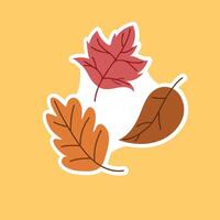 Autumn sets of leaves vector