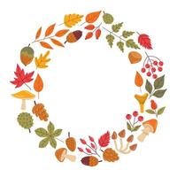 Cute autumn round frame or wreath with leaves, berris, nuts and mushrooms in cartoon flat style. vector