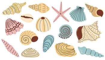Collection of seashell and starfish in pastel color palette, cartoon flat style. vector
