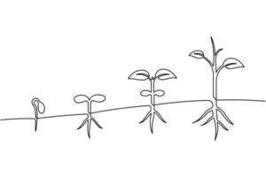 A drawing of a plant with a stem and leaves vector