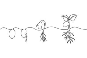 A line drawing of a plant with roots vector