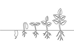 A drawing of a plant with roots and leaves vector