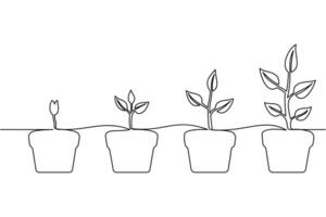 A line drawing of three plants in pots vector