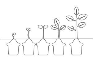 A line drawing of plants growing in pots vector