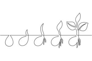 A drawing of a plant growing from a seed vector