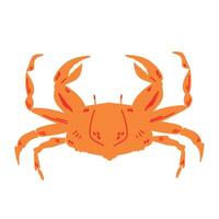 Red crab illustration isolated on white background. vector