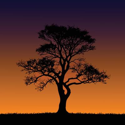 Silhouette of leafless tree at sunset with gradient orange to dark blue sky illustration