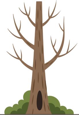 Bare tree with brown trunk and branches surrounded by green bushes illustration for nature and environment concepts