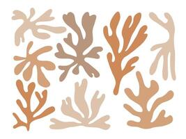 Botanical Coral Silhouette Collection. A collection of 8 abstract botanical silhouettes featuring coral inspired organic leaf shapes with soft flowing contours. Perfect for decor vector
