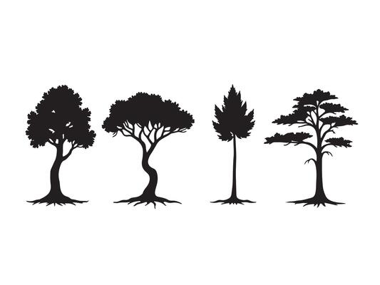 Black silhouette illustrations of diverse trees with various foliage types on white background