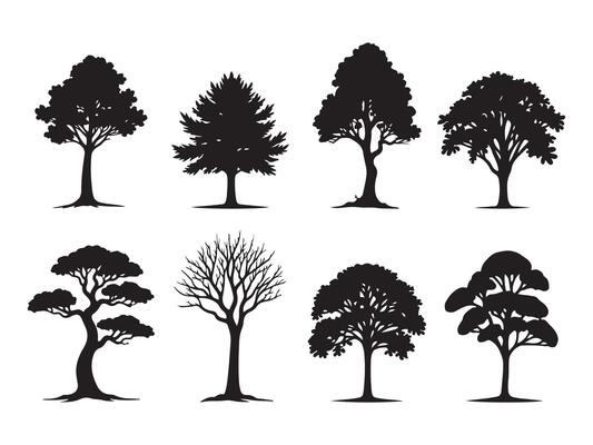 Collection of diverse silhouette trees in black and white for nature and design projects