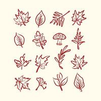 autumn leaves and mushroom Line Art Hand-drawn clipart Set in Minimalist color vector