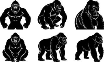 Gorilla Silhouette Collection Set and Editable Bundle for Jungle Illustrations, Wildlife Branding, and Educational Projects vector