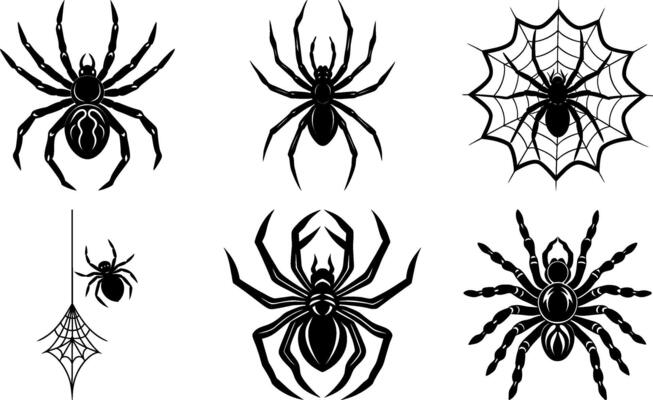 Spider Silhouette Collection Set and Editable Bundle for Halloween Graphics, Creepy Illustrations, and Educational Projects