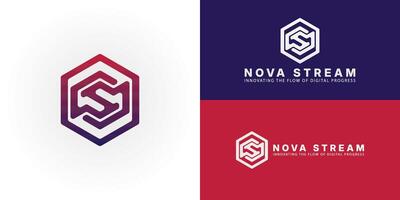 Dynamic geometric logo with a vibrant gradient, featuring abstract interlocking forms that suggest the initials NS within a hexagon. This design is ideal for technology and software development symbol vector
