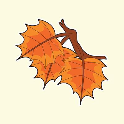 Hand drawn orange autumn maple leaves in a cute cartoon style, ideal for fall season decorations, Thanksgiving designs, seasonal greeting cards, botanical elements, and festive artwork.