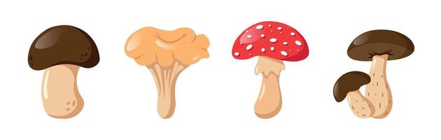 Set Mushrooms In Cartoon Style Isolated On White Background. Champignon, Chanterelle, Fly Agaric, Birch Boletus. Forest Elements Harvesting Icons Stickers Food. Different Mushrooms. vector