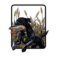Black Labrador retrieving a duck through reeds, showcasing a hunting scene. vector