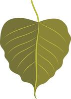 Tropical Leaf Element with Cartoon Design, Isolated on White Background, vector