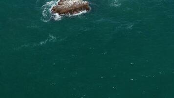 Drone reveals island rock formation named Seal Rock where seals chill in San Clemente video