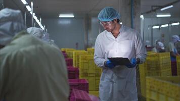 Production control supervisor inspects and controls the operation of each step in the production line of a canned fish factory video