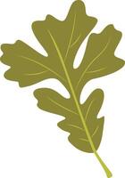 Tropical Leaf Element with Flat Design, Isolated on White Background vector