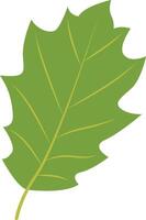 Tropical Leaf Element in Cartoon Design vector