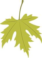 Tropical Leaf Element with Flat Design vector