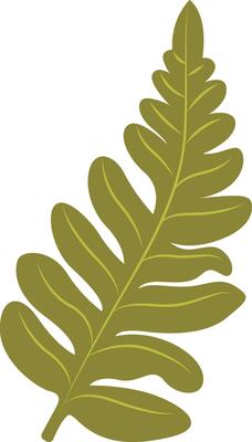 Tropical Leaf Element in Cartoon Design. Isolated on White Background