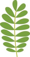 Tropical Leaf Element with Flat Design. Isolated on White Background vector