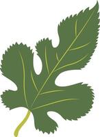 Tropical Leaf Element with Flat Design, vector