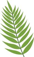 Tropical Leaf Element in Flat Design. Isolated on White Background. vector
