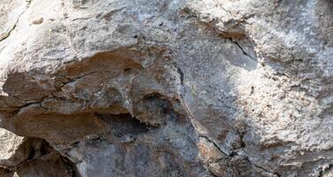 Close-up view of textured rock surface showcasing natural patterns and earthy tones in sunlight photo