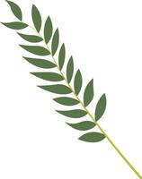 Tropical Leaf Element. vector