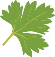 Tropical Leaf Element with Flat Cartoon Design. vector