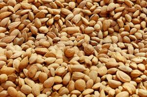 almonds in shell as background with copy space photo