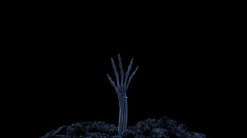 Skeleton hand hand crawling out of the ground with alpha channel video