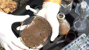 scientist analyzing a soil to find solutions of soil deterioration problems. video