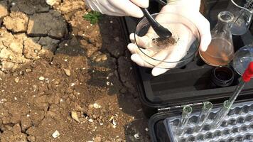 asian scientist analyzings and soil to find solutions of soil deterioration problems. video