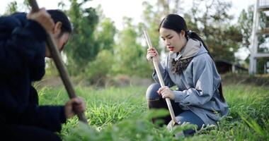Handheld selective focus shot, Two Asian gardeners chatting happily while using a shovel to weed watermelon fields in the cold morning air video