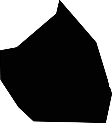 VI 3 Black Bush Polder Guyana silhouette map