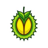 Flat design of durian fruit vector
