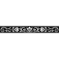 Elegant Black and White Floral Border, Scrollwork vector