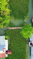 Aerial View of Houses Surrounded by Water and Vegetation video
