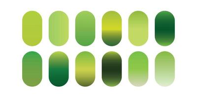 green gradient color vector