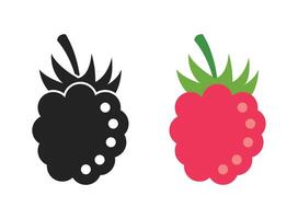 Blackberry and raspberry fruit icons illustration vector
