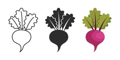 A beet and a radish are shown in different colors vector